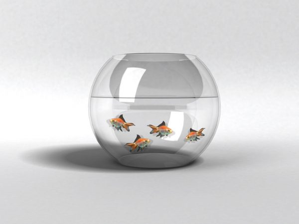 Creation of Fisherman's bowl: Step 3